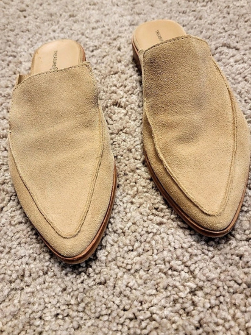 The Treasure & Bond Kallie Suede Pointed-Toe Mules in Nude